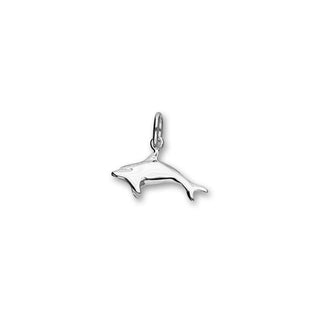Dolphin Silver Charm FC 9