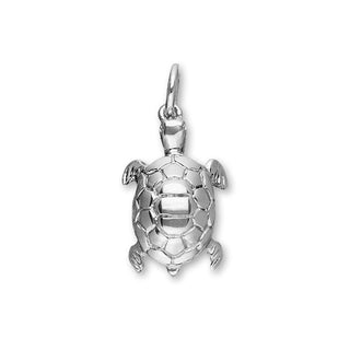 Tortoise Silver Charm C164